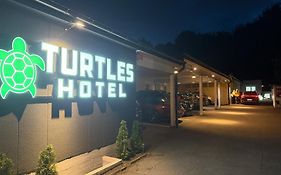 Turtles Hotel